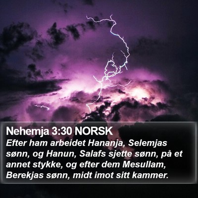 Nehemja 3:30 NORSK Bible Verse Image