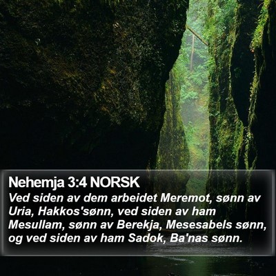 Nehemja 3:4 NORSK Bible Verse Image