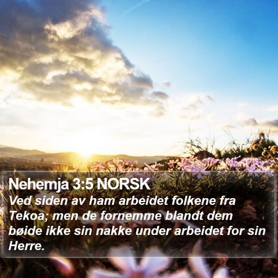 Nehemja 3:5 NORSK Bible Verse Image