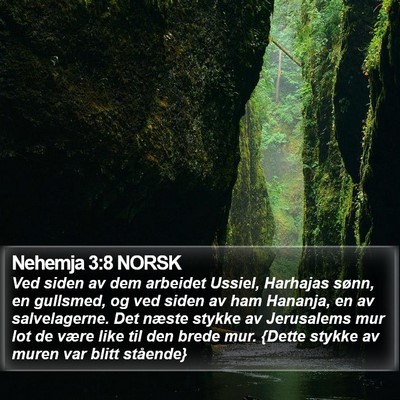 Nehemja 3:8 NORSK Bible Verse Image