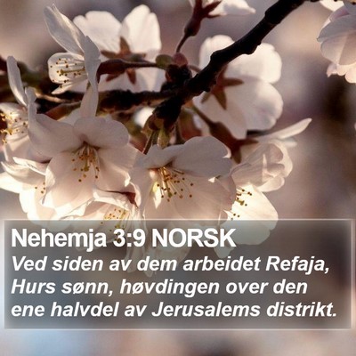 Nehemja 3:9 NORSK Bible Verse Image