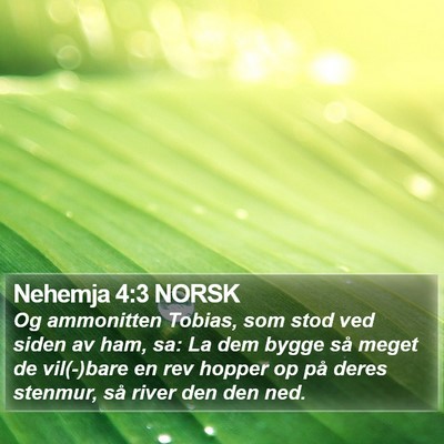 Nehemja 4:3 NORSK Bible Verse Image