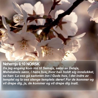 Nehemja 6:10 NORSK Bible Verse Image
