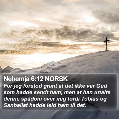 Nehemja 6:12 NORSK Bible Verse Image