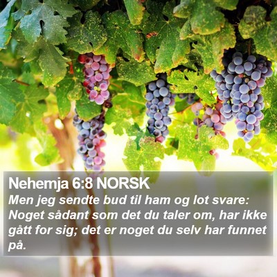 Nehemja 6:8 NORSK Bible Verse Image
