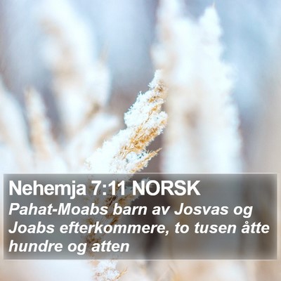 Nehemja 7:11 NORSK Bible Verse Image