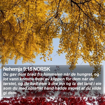 Nehemja 9:15 NORSK Bible Verse Image