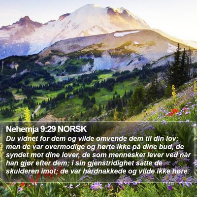 Nehemja 9:29 NORSK Bible Verse Image