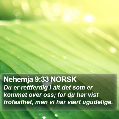 Nehemja 9:33 NORSK Bible Verse Image