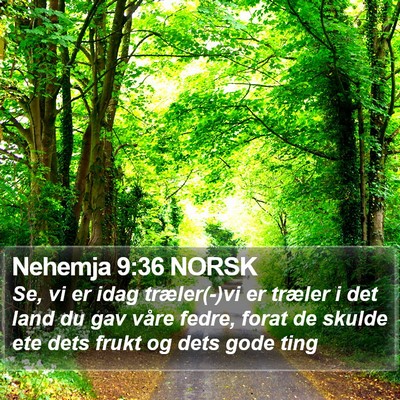 Nehemja 9:36 NORSK Bible Verse Image
