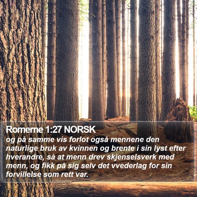 Romerne 1:27 NORSK Bible Verse Image