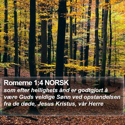 Romerne 1:4 NORSK Bible Verse Image