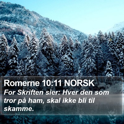 Romerne 10:11 NORSK Bible Verse Image
