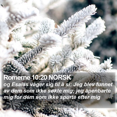 Romerne 10:20 NORSK Bible Verse Image