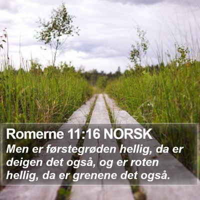 Romerne 11:16 NORSK Bible Verse Image