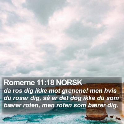 Romerne 11:18 NORSK Bible Verse Image