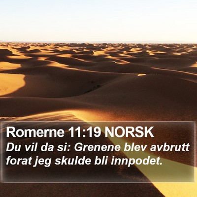 Romerne 11:19 NORSK Bible Verse Image