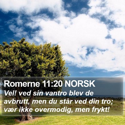 Romerne 11:20 NORSK Bible Verse Image