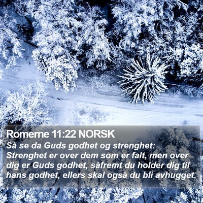 Romerne 11:22 NORSK Bible Verse Image