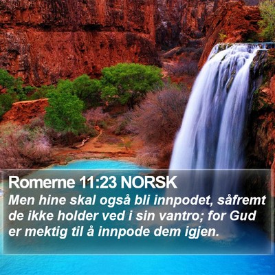 Romerne 11:23 NORSK Bible Verse Image