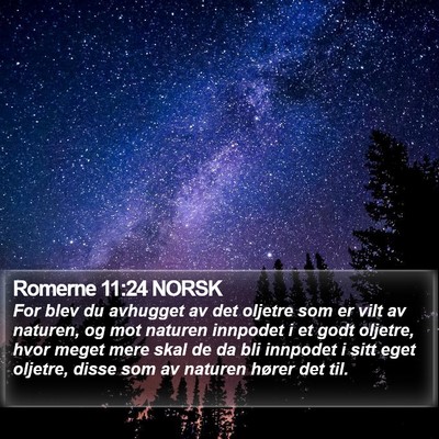 Romerne 11:24 NORSK Bible Verse Image