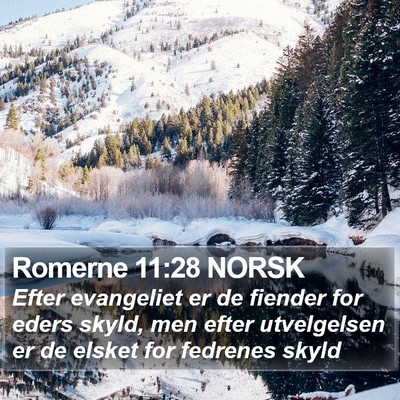 Romerne 11:28 NORSK Bible Verse Image