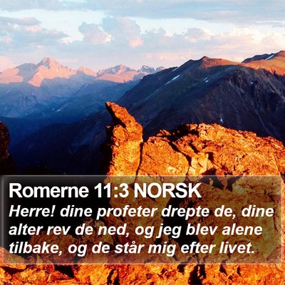 Romerne 11:3 NORSK Bible Verse Image