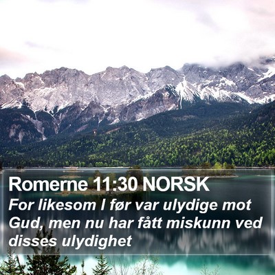 Romerne 11:30 NORSK Bible Verse Image