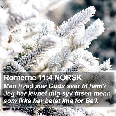 Romerne 11:4 NORSK Bible Verse Image