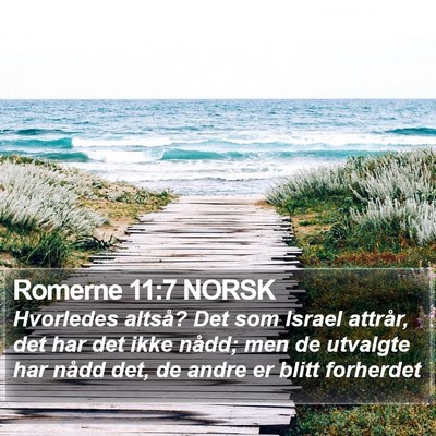 Romerne 11:7 NORSK Bible Verse Image