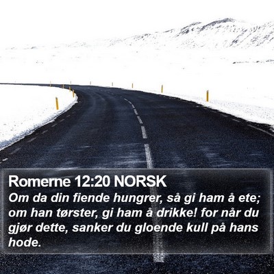 Romerne 12:20 NORSK Bible Verse Image