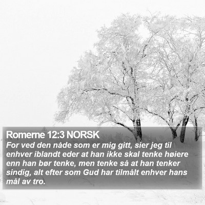 Romerne 12:3 NORSK Bible Verse Image