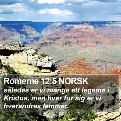 Romerne 12:5 NORSK Bible Verse Image
