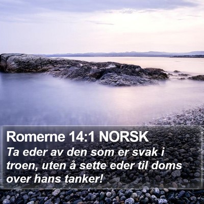 Romerne 14:1 NORSK Bible Verse Image