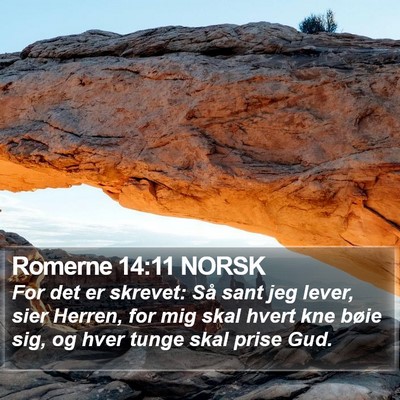 Romerne 14:11 NORSK Bible Verse Image