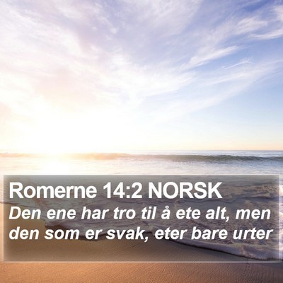Romerne 14:2 NORSK Bible Verse Image