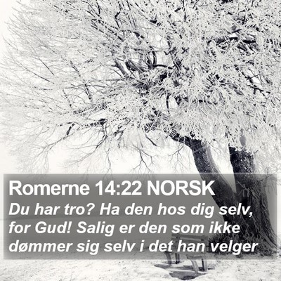 Romerne 14:22 NORSK Bible Verse Image