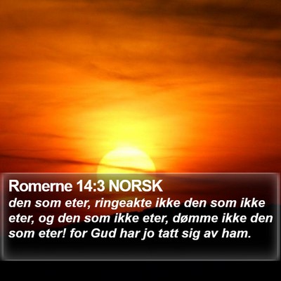 Romerne 14:3 NORSK Bible Verse Image