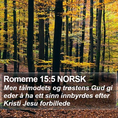 Romerne 15:5 NORSK Bible Verse Image