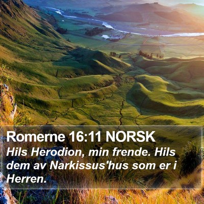 Romerne 16:11 NORSK Bible Verse Image
