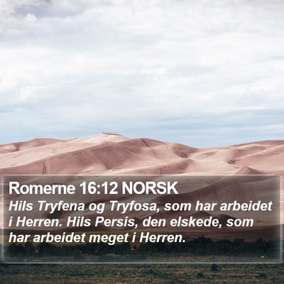 Romerne 16:12 NORSK Bible Verse Image
