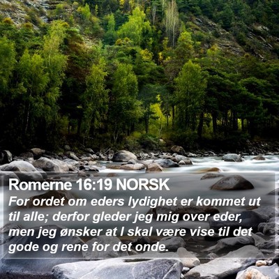 Romerne 16:19 NORSK Bible Verse Image