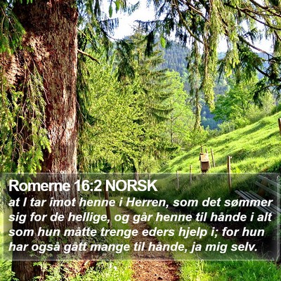 Romerne 16:2 NORSK Bible Verse Image
