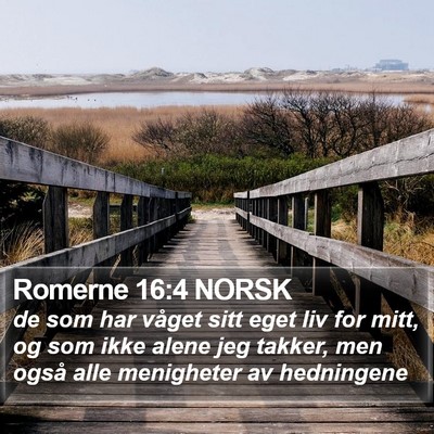Romerne 16:4 NORSK Bible Verse Image