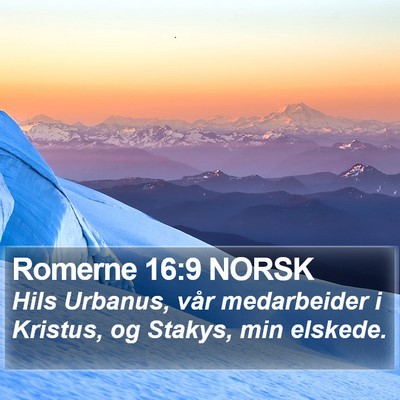 Romerne 16:9 NORSK Bible Verse Image