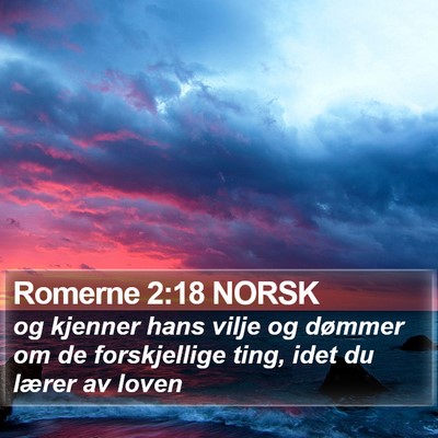 Romerne 2:18 NORSK Bible Verse Image