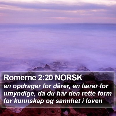 Romerne 2:20 NORSK Bible Verse Image