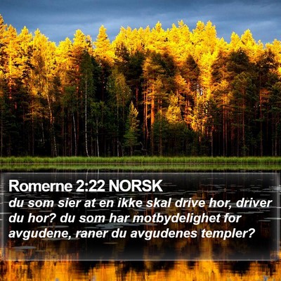 Romerne 2:22 NORSK Bible Verse Image