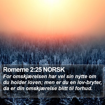 Romerne 2:25 NORSK Bible Verse Image