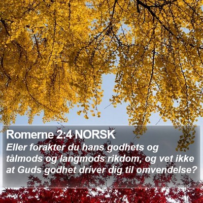 Romerne 2:4 NORSK Bible Verse Image